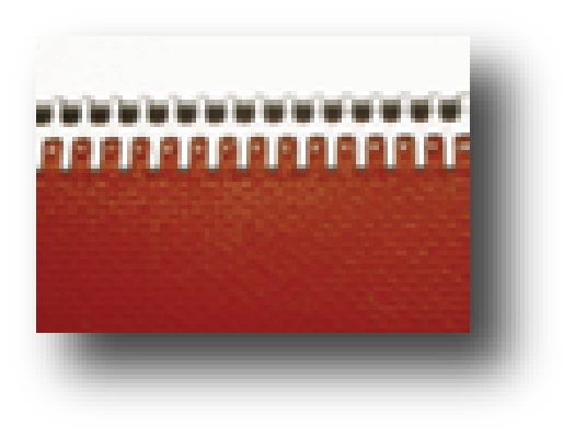imgi_1_1437674628_Alligator splice2